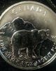 2011 $5 Canadian Grizzly Bear 1 Oz.  9999 Argent Pur Silver Bullion Coin Canada Silver photo 2