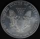 1999 Silver American Eagle $1 One Dollar.  999 1 Troy Oz. Silver photo 1