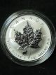 1999 Rabbit Privy Mark Canada Silver Maple Leaf - 1 Oz Pure Silver Silver photo 1