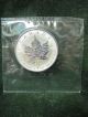 2008 Canada Silver Maple Leaf - Rat Privy Mark - 1 Ounce Pure Silver Silver photo 2