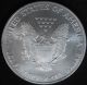 2003 Silver American Eagle $1 One Dollar - 1 Troy Oz.  999 Fine Silver Silver photo 1