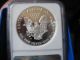 2008 Ngc Proof 70 Silver Eagle Ultra Cameo Silver photo 3