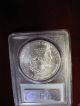 1993,  American Silver Eagle Pcgs Ms69,  1 Ounce.  999 Fine Silver Silver photo 1