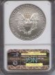 2009 Early Releases Ngc Ms69 American Silver Eagle Silver photo 1