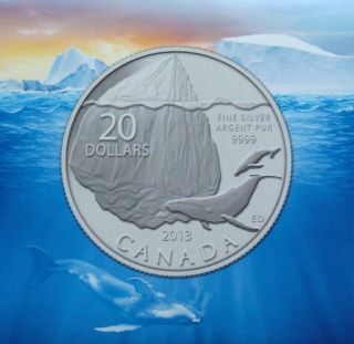 2013 - $20 Iceberg Canadian Proof Bu Silver 0.  9999 Coin With photo