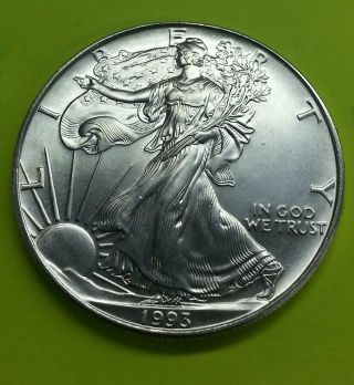 1993 - American Eagle Silver Coin photo