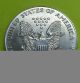 1993 - American Eagle Silver Coin Silver photo 1