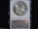 1995 Eagle S$1 Ngc Ms 69 American Silver Coin 1oz Silver photo 1