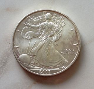 2003 Silver American Eagle $1 Dollar State Coin photo
