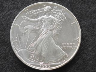 1993 American Silver Eagle Dollar U.  S.  Coin A2062 photo