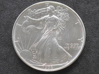 1993 American Silver Eagle Dollar U.  S.  Coin A2059 photo