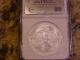 2005 $1 American 1 Oz 999 Silver Eagle Coin Ngc Ms70 Silver photo 2