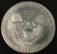 1995 American Silver Eagle Bullion Coin Key Date Investment Grade 1 Oz Silver Silver photo 2
