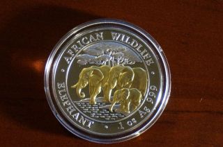 2013 1 Oz Silver Somalian African Elephant - Gold Gilded (. 999 Pure) photo
