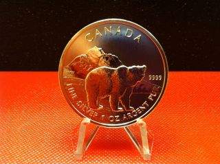 2011 $5 Canadian Grizzly Bear 1 Troy Oz.  9999 Silver Round In Airtite photo