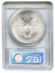 2001 Silver Eagle $1 Pcgs Ms69 (first Strike) American Eagle Silver Dollar Ase Silver photo 1
