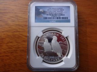 2013 Canada Bald Eagle Lifelong Mates 1oz Silver Proof Ngc Pf 70 Perfect Grade photo