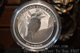 2014 1 Troy Ounce Bu Australian Silver Kookaburra Coin Fine 99.  9% Silver photo