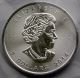 2014 Canada Silver Maple Leaf $5 1 Oz.  9999 Uncirculated Coin Eliz Ii Design Silver photo 1