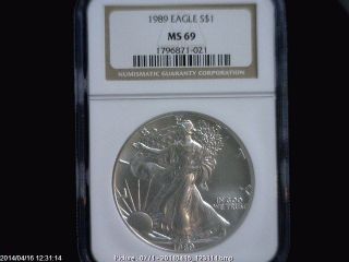 1989 Eagle S$1 Ngc Ms 69 American Silver Coin 1oz photo