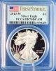 2013 W American Eagle Silver Proof Perfect First Strike Pcgs Pr70dcam 1 Troy Oz. Silver photo 6