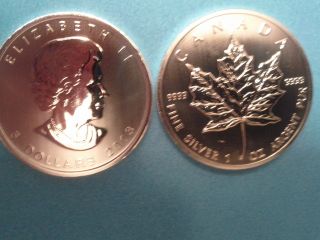 Two (2) 2013 1 Oz Silver Canadian Maple Leafs photo