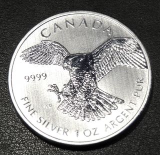 2014 1 Troy Oz.  9999 Silver Canadian Peregrine Falcon - Birds Of Prey Series photo