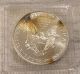 1999 Silver American Eagle Coin - Rainbow Toned - Brilliant Uncirculated Silver photo 1