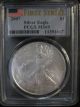 2007 American Silver Eagle Pure First Strike Pcgs Ms 69 Silver photo 1