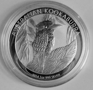 2014 1 Oz Silver Australian Kookaburra Coin Great Gift Idea photo
