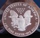 1988 Us America Eagle Walking Liberty 1 Oz.  999 Silver Bullion Coin Silver photo 1