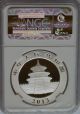 Ngc 2013 China Panda 10¥ Yuan Coin Ms69 Early Releases Silver 1oz 999 Prc Map Bu China photo 1