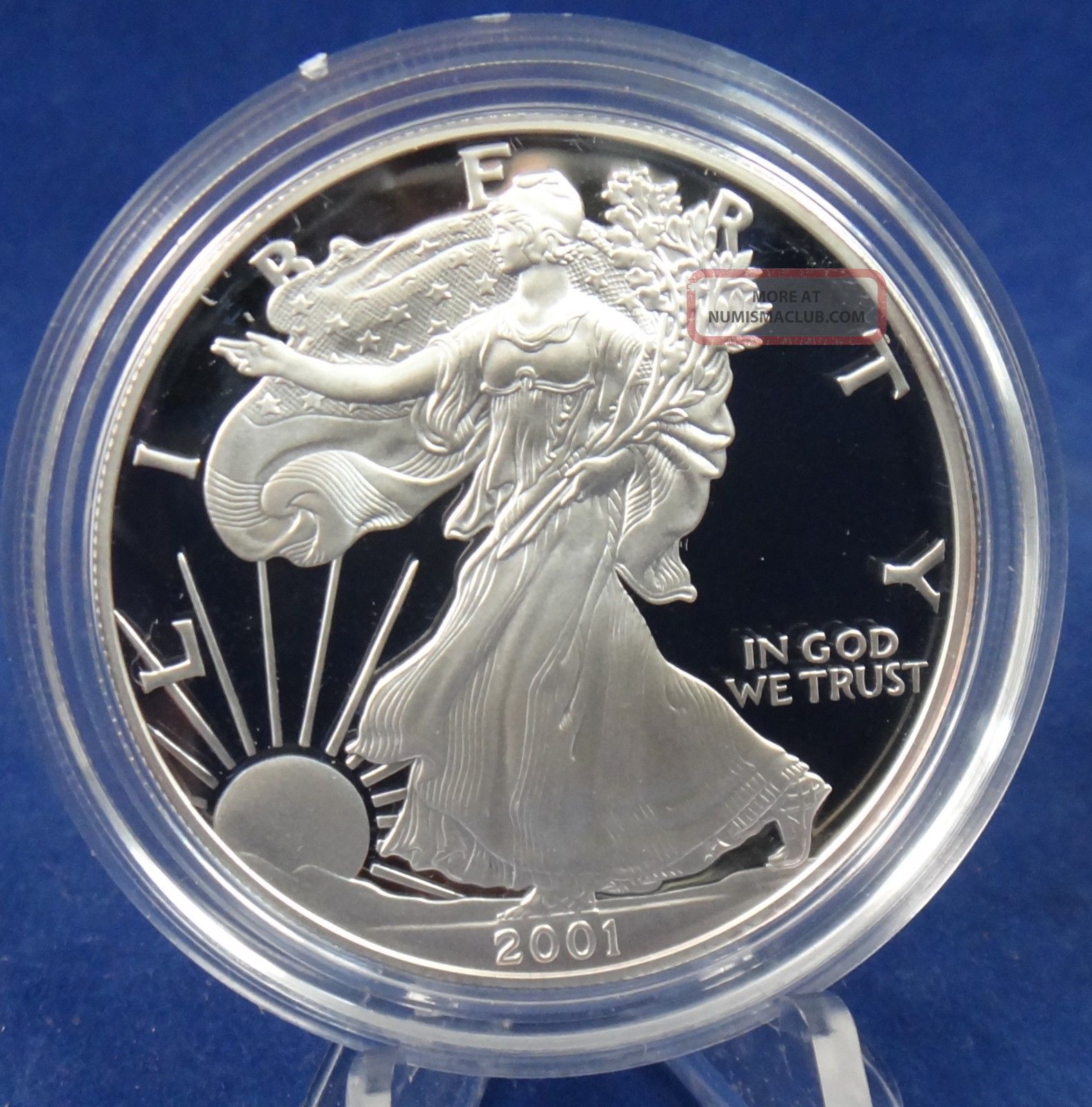 United States American Silver Eagle 2001 W Bullion Proof Coin With 1 Ounce United States American Silver Eagle 2001 W Bullion Proof Coin With 1 Ounce