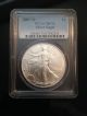 2007 - W (burnished) Silver American Eagle Ms - 70 Pcgs Perfect Silver Eagle Best 1 Silver photo 2