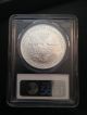 2007 - W (burnished) Silver American Eagle Ms - 70 Pcgs Perfect Silver Eagle Best 1 Silver photo 3