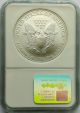 Ngc Ms69 2003 Silver Eagle Silver photo 1