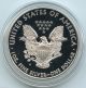 2012 American Eagle One Ounce Proof Silver Bullion Coin - U.  S.  - S1s Kq619 Silver photo 1