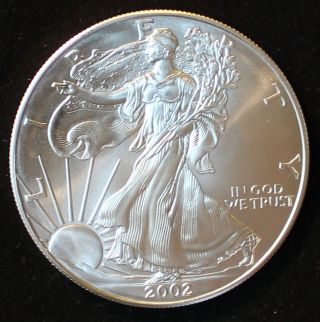 2002 $1 Silver American Eagle 1 Ounce Fine.  999 Silver F231213 photo