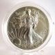 2012 W American Eagle Silver Uncirculated Coin Special Collector ' S Strike Satin Silver photo 2