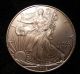 2009 American Silver Eagle Dollar.  999 Fine 1 Ounce Oz Bullion Silver photo 5
