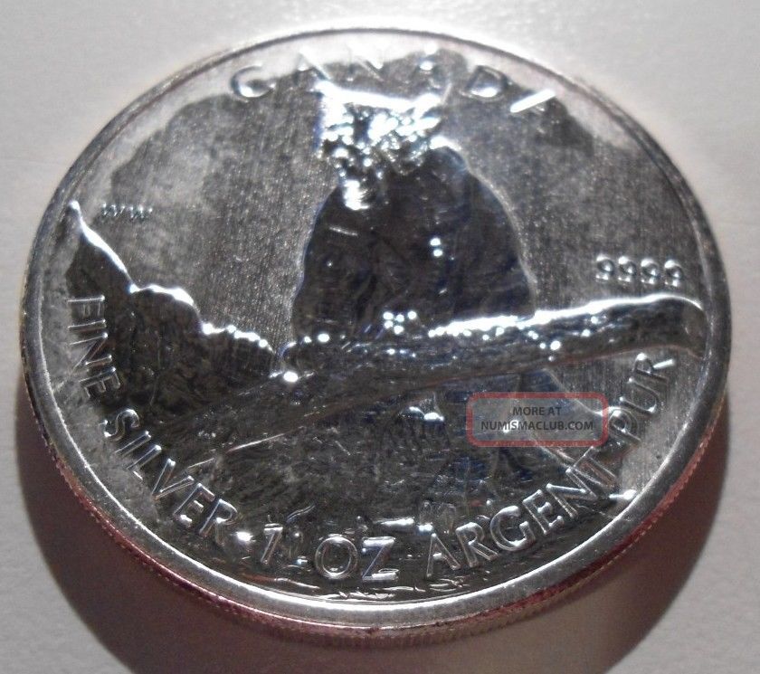 2012 Canada Wildlife Series Cougar 9999 One Ounce Canadian 5 Silver why-you-need-a-boat-survey-marsurv-marine-surveyors-consultants