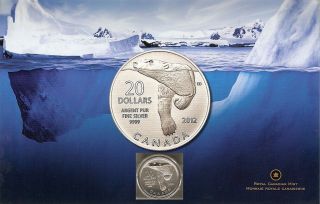 Canada 2012 $20 Polar Bear Fine 99.  99% Silver Commemorative Coin - No Tax photo
