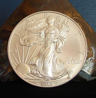 1 Oz.  Silver Walking Liberty American Eagle.  999 Fine Round Bullion Dollar photo
