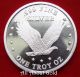 Solid Silver Round 1 Troy Oz Lady Liberty American Flying Eagle.  999 Proof - Like Silver photo 6