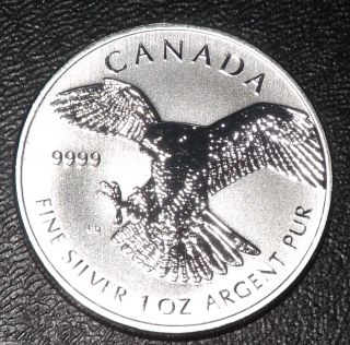Canada $5 Fine Silver Falcon Peregrine 1 Oz Troy +airtite+ Gift photo
