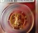 2014 1/4 Oz.  American Eagle $10 Gold Coin Pcgs Ms70 - West Point Label Perfect Gold photo 2