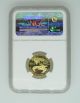 1995 - W Ngc Pf70 Proof Gold Eagle - Quarter Ounce Gold (1/4 Ozt) - $10 Ucam Gold photo 1