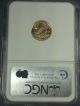 2006 - W $5 1/10 Oz Gold Eagle Ngc Ms70 Early Release Gold photo 1
