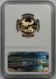 2008 - W American Gold Eagle $10 Quarter - Ounce Proof Pf 69 Ultra Cameo Ngc Gold photo 1