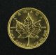 1982 $5 Canadian Maple Leaf Gold Bullion Coin 1/10 Ounce Uncirculated In Plastic Gold photo 1